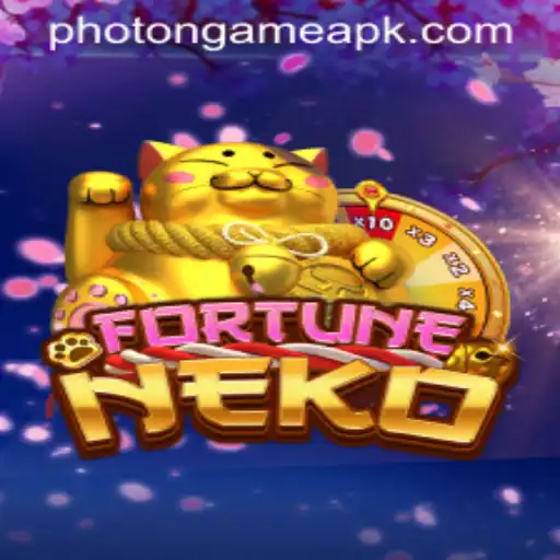 FortuneNeko and the Revolutionary Photon Game Login Experience